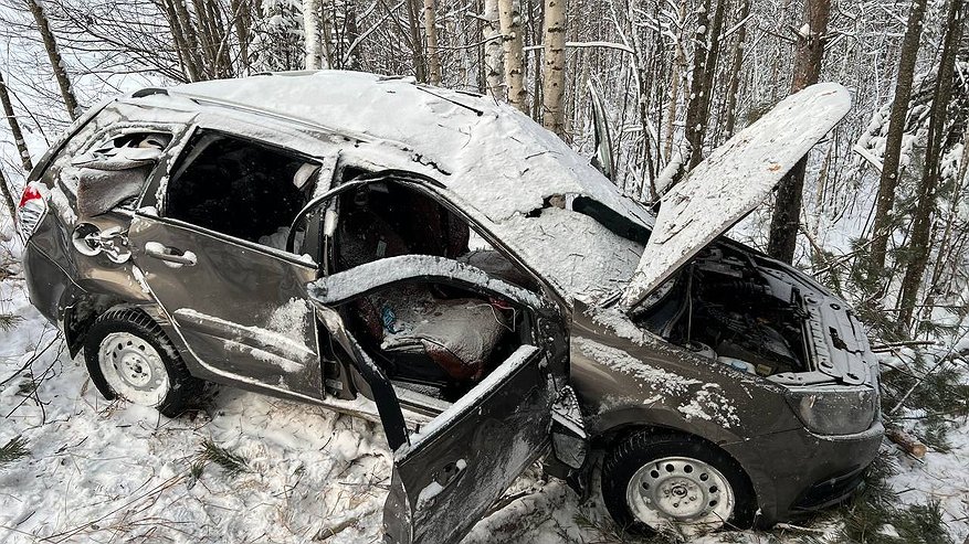 Главная картинка новости: В страшном ДТП в Костромской области погибла 8-летняя девочка