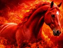 Что ждет каждого в 2026 году Красной Огненной Лошади: большой прогноз для всех знаков и практические советы