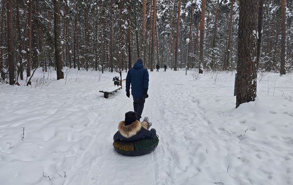 В Костроме бывший лес хотят вырубить под микрорайон: жители разбились на два лагеря