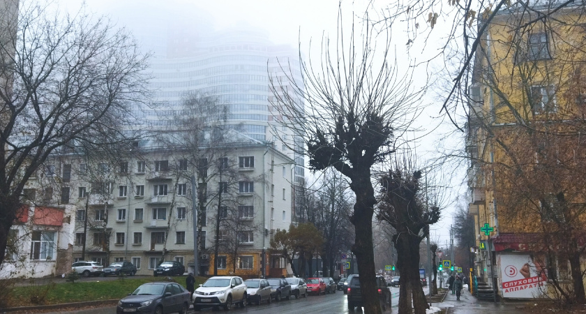 Зимы в России не будет: Роман Вильфанд ошарашил прогнозом на каникулы и рассказал, будет ли снег на Новый год