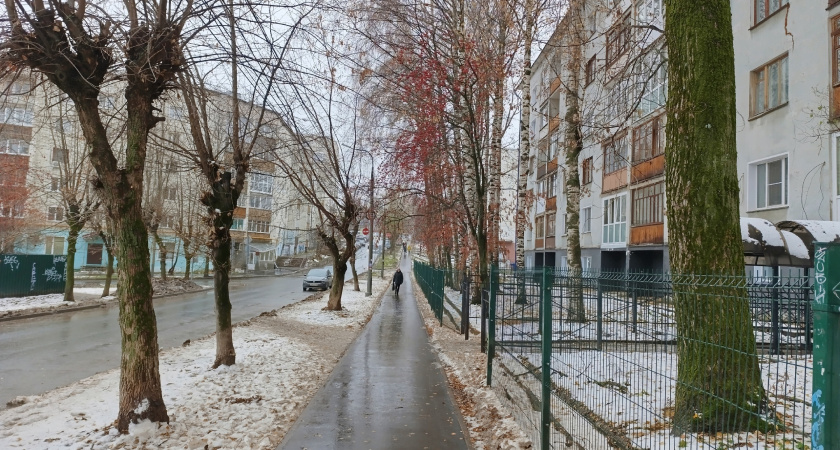 Снег до России не доберется: Роман Вильфанд удивил прогнозом на новогодние каникулы и рассказал, когда придет настоящая зима