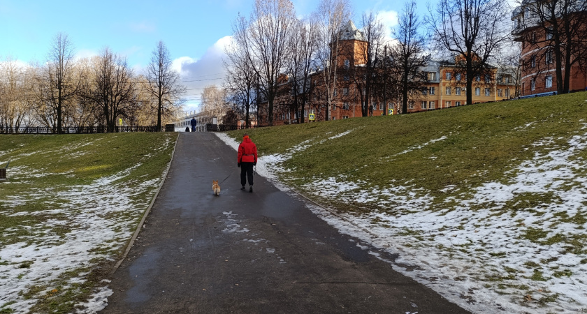 Зимы в России не будет: Роман Вильфанд ошарашил долгосрочным прогнозом и рассказал, будет ли снег в новогодние каникулы