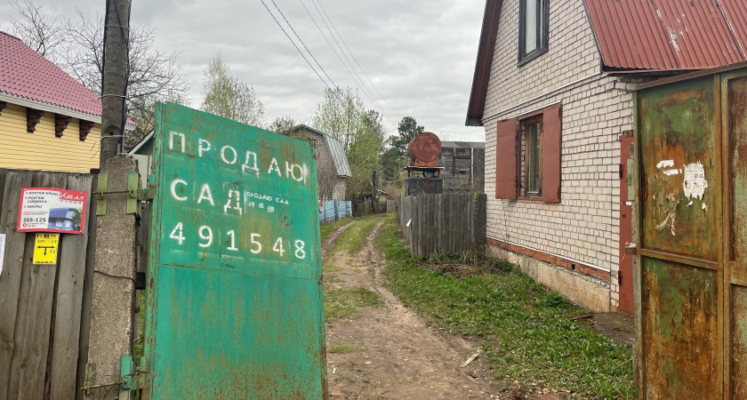 Лишатся земли в один день: всем, у кого есть участок в собственности - новое жесткое правило с 1 декабря