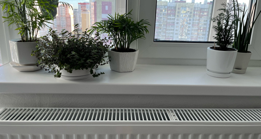 С 5 декабря запретят установку пластиковых окон: заставят снять и не разрешат поставить новые