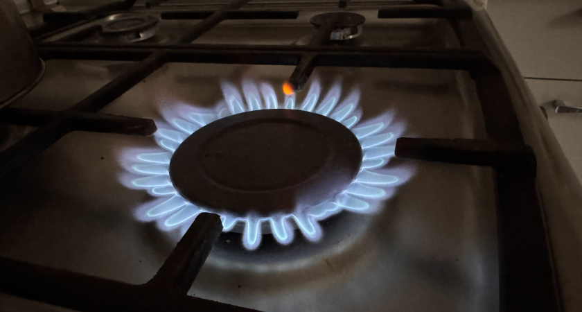 Указ подписали: с 1 февраля штраф 1500 рублей в сутки для собственников квартир с газовой плитой