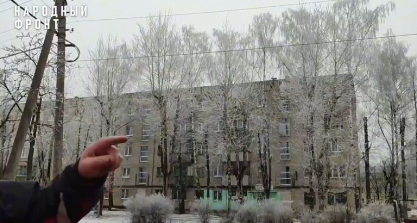 Костромич пожаловался Путину на аварийные деревья