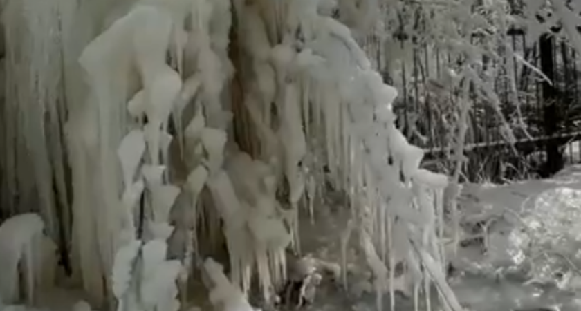 Костромичи пожаловались на фонтан кипятка, который несколько месяцев бьет на улице 2-ой Волжской