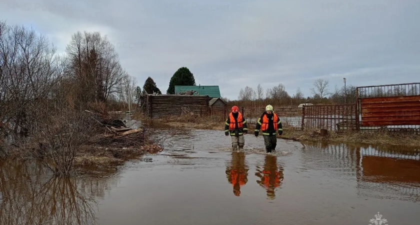 Известно, затопит ли Кострому весной 2025 года: прогноз по половодью