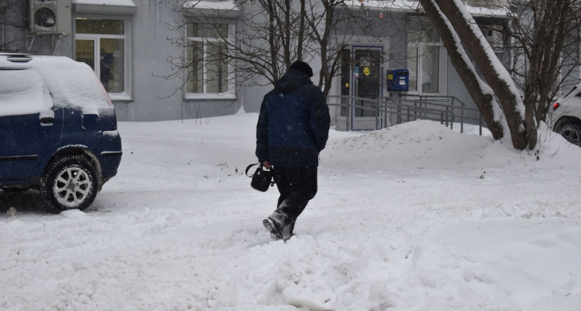 Штормовой ветер в Костромской области: порывы до 17 м/с