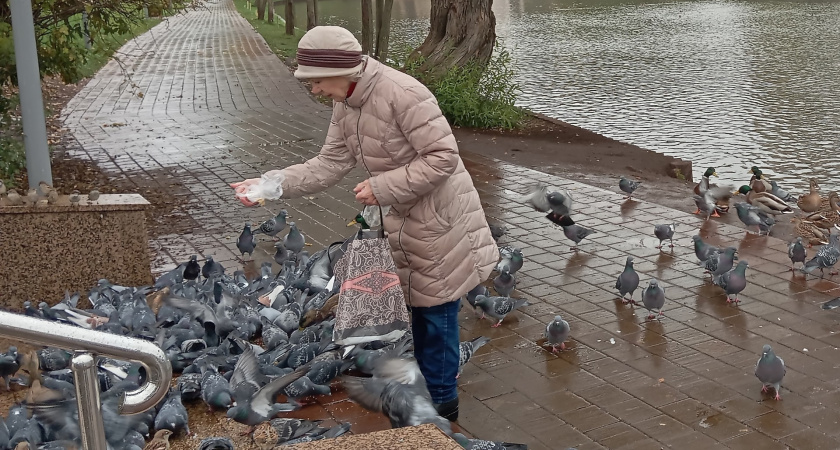«С понедельника – бесплатно для всех пенсионеров». Новая льгота появится уже в апреле