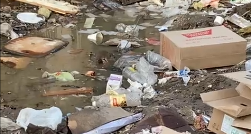 “Крыс становится больше, чем жильцов”: костромичи жалуются на нашествие грызунов на улице Привокзальной