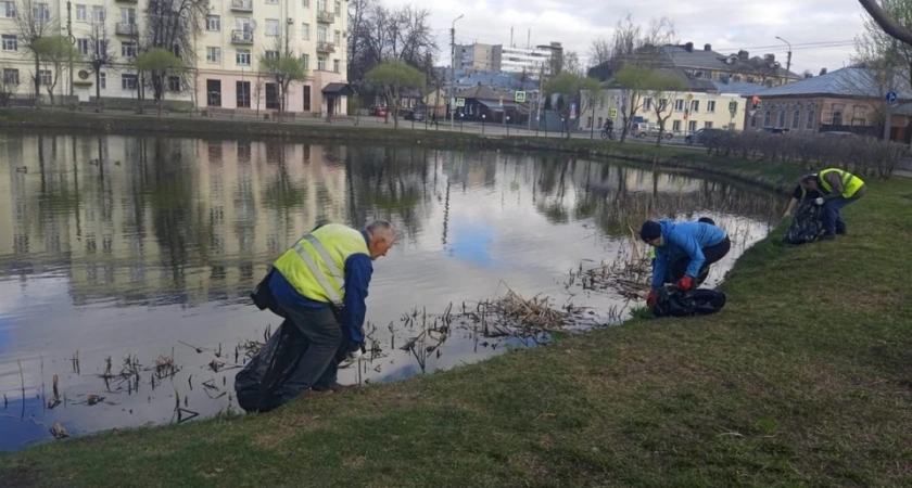 Стало известно, когда в Костроме пройдут субботники