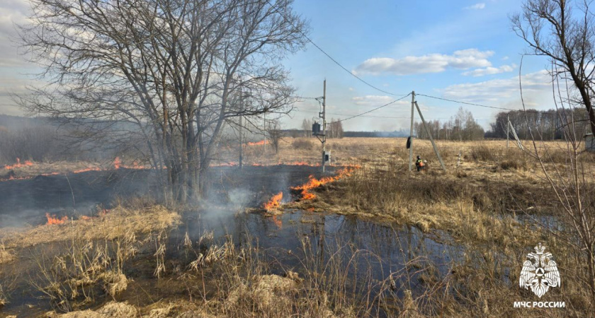 В Костромской области за сутки выгорело 19 гектаров травы