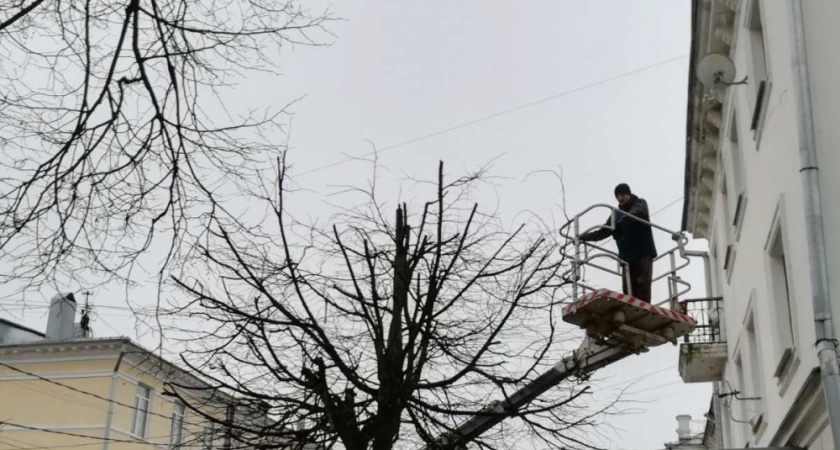 В Костроме сносят аварийные деревья