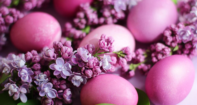 Шелуху от лука в апреле не собираю: Перед Пасхой «купаю» яйца в бурой «жиже» — получаю изумительные лавандовые скорлупки