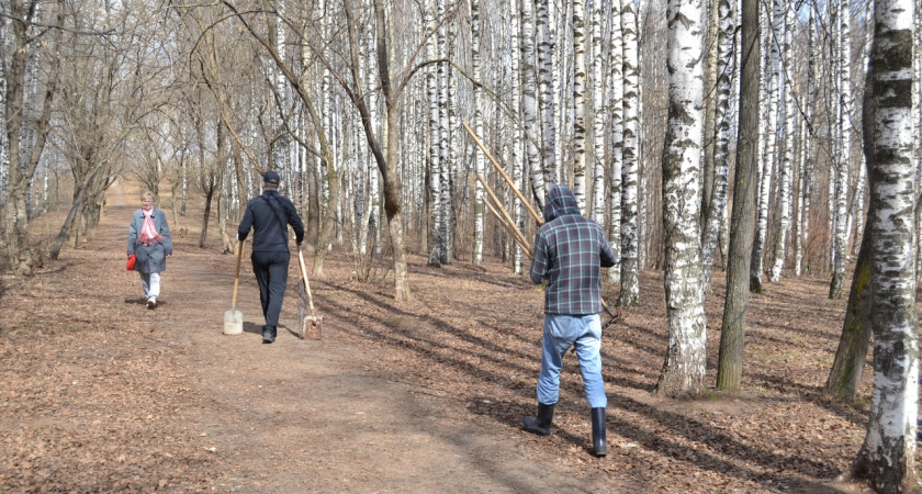 Чай с блинами, плов: костромичей просят помочь прибрать усадьбу за вознаграждение