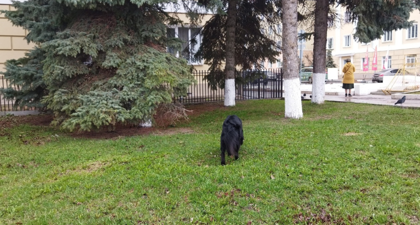 В Костромской области снимут кино по мотивам известной сказки (6+)