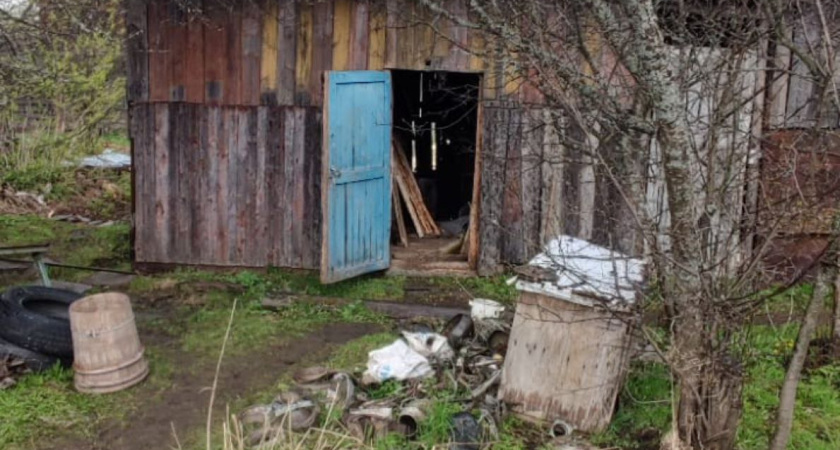 В Костромском районе утром произошел пожар в садоводческом товариществе