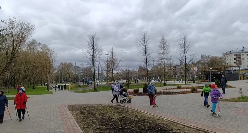 В Костромской области ожидаются грозы и сильный ветер