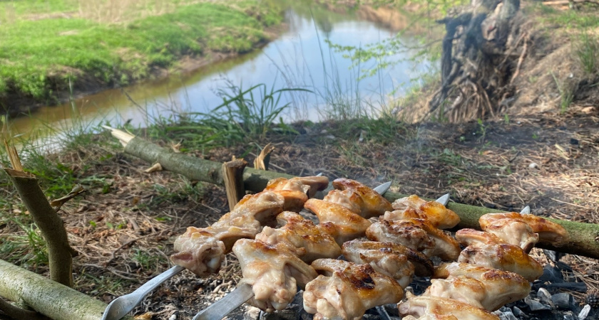 Не свинина, не курица и не говядина: доктор Мясников назвал идеальное мясо для шашлыка