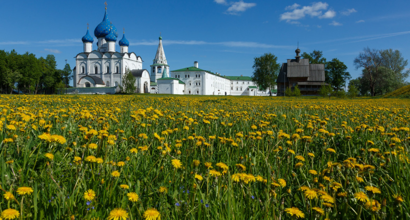 Костромичей приглашают на Летний фестиваль в Суздале (0+)