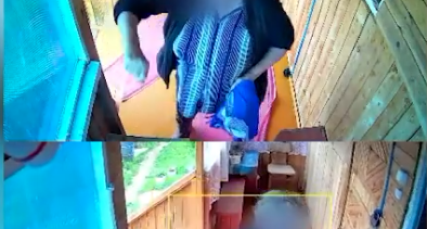 В Островском женщина решила нажиться на богатой соседке и теперь ответит за это в суде