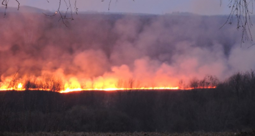 Огнеборцы почти 9 часов тушили лесной пожар в Костромской области