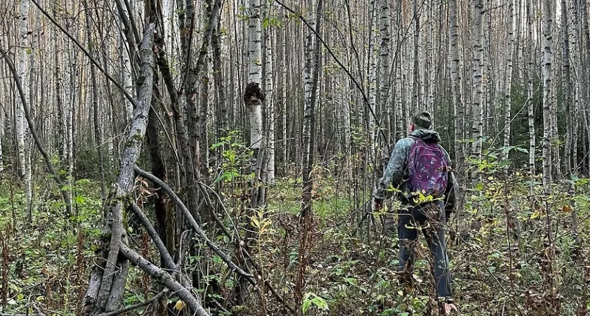 В Костромской области охотники добыли 125 медведей