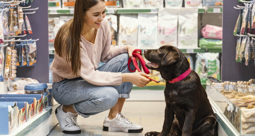 Отвечает юрист: можно ли заходить в магазины с собакой?