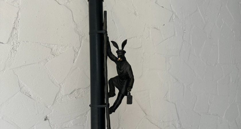 Один из мазайских зайцев сменил прописку в Костроме