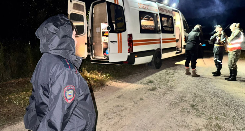 В Костромской области полицейские помогли вывести из леса 89-летнего грибника