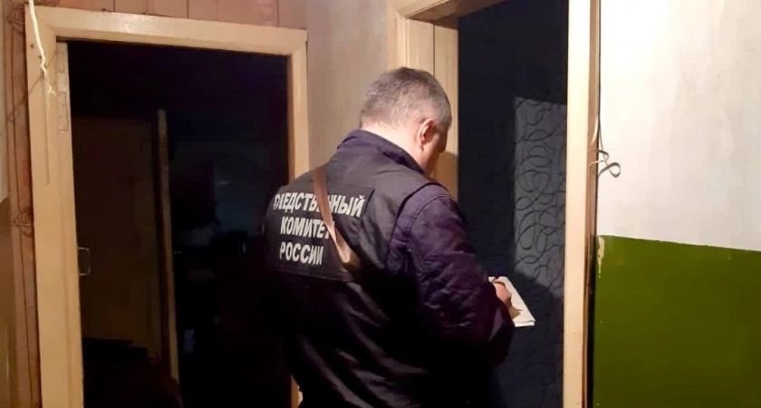 В Костромской области мужчина отобрал собаку у ребенка и зарубил ее топором