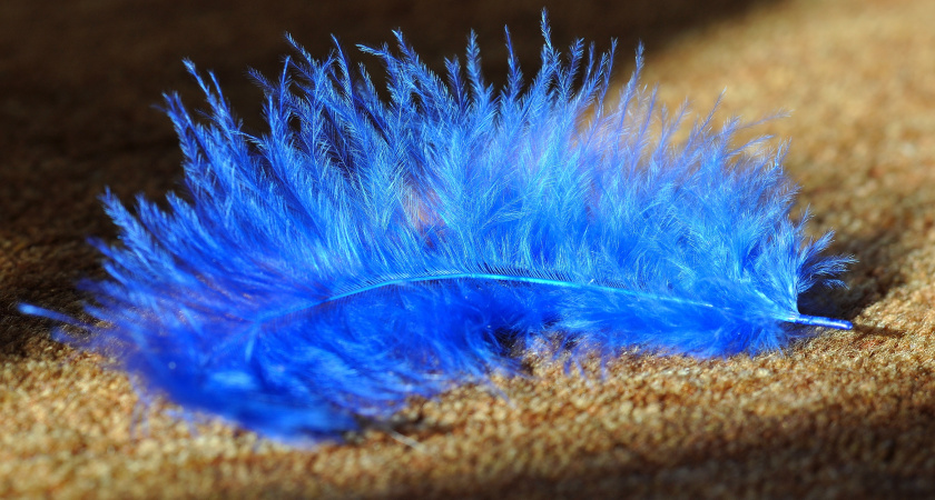 Делаю так — через 3 минуты на ковре ни шерсти, ни волос, ни пыли — нарадоваться не могу