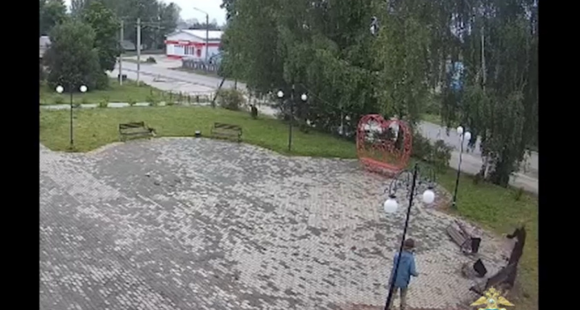 Костромские "тревел-блогеры" устроили погром в Островском районе