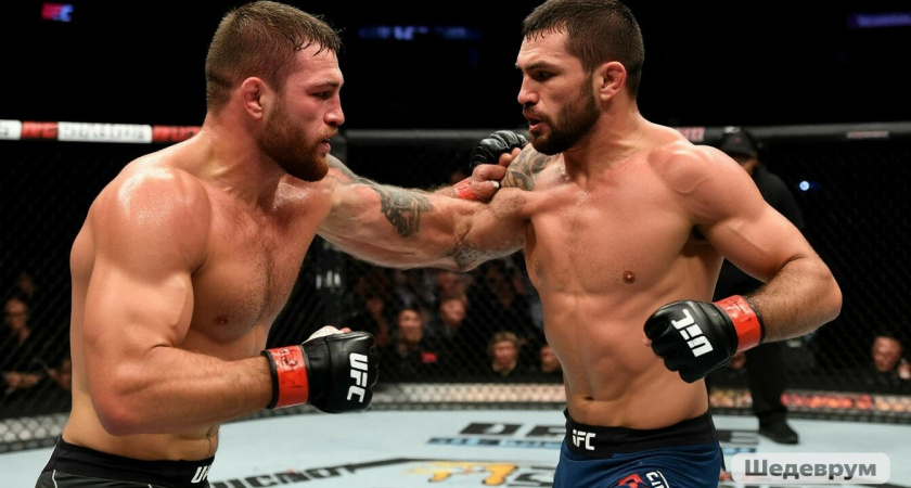 Красноречие — от Макгрегора, выносливость — от Двалишвили: Хамзат Чимаев собрал идеального бойца UFC из лучших качеств топ-звезд