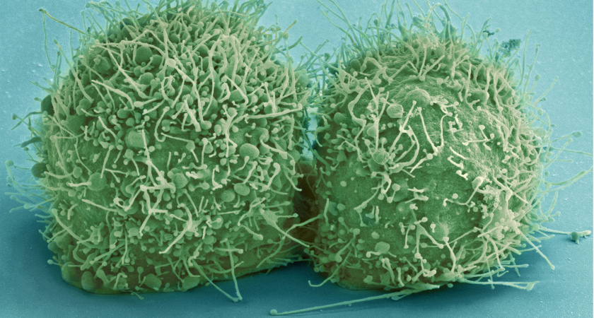 10 самых страшных открытий ученых — даже у исследователей мурашки по коже ходили