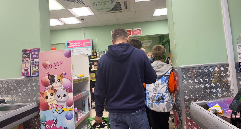 В "Чижике" большой завоз — много новинок из разных категорий: интересно до мурашек