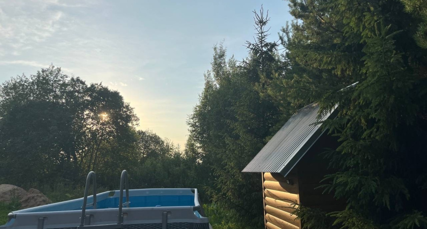 Несут опасность: Еще Мичурин 87 лет назад запрещал сажать в огороде и около дома эти деревья