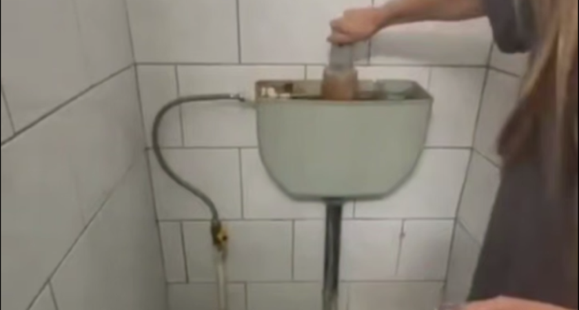 Тараканы и сломанные туалеты: прокуратура в Костромской области проверит общежитие сельскохозяйственной академии