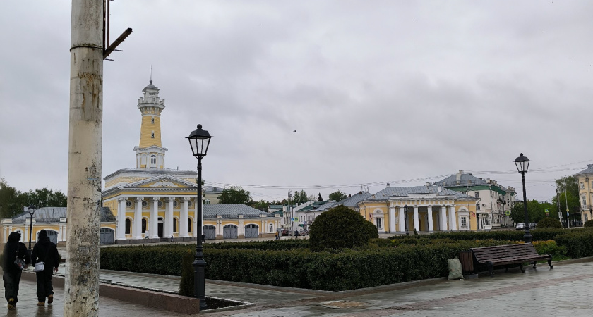 В Костроме ввели режим повышенной готовности из-за заморозков