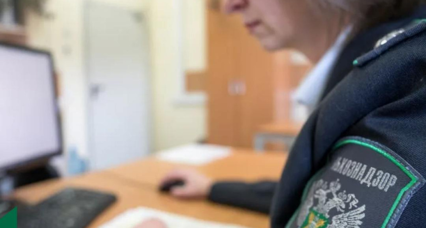 Россельхознадзор нашел нарушения у костромского виноградаря