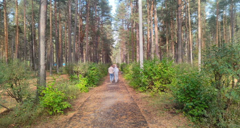В Костромской области ввели высокий класс пожарной опасности