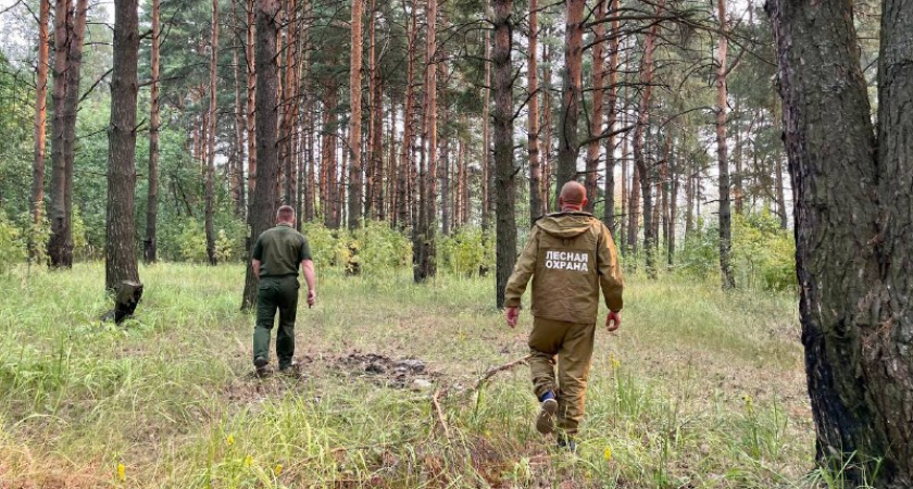 В Костромской области сохраняются высокие риски возникновения лесных пожаров