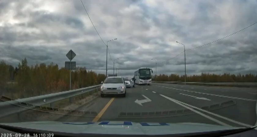 В Костроме чат-бот помог задержать пьяного водителя без прав