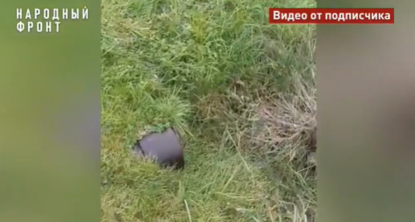 В Костромской области из-за прорыва водопровода проседает дорога