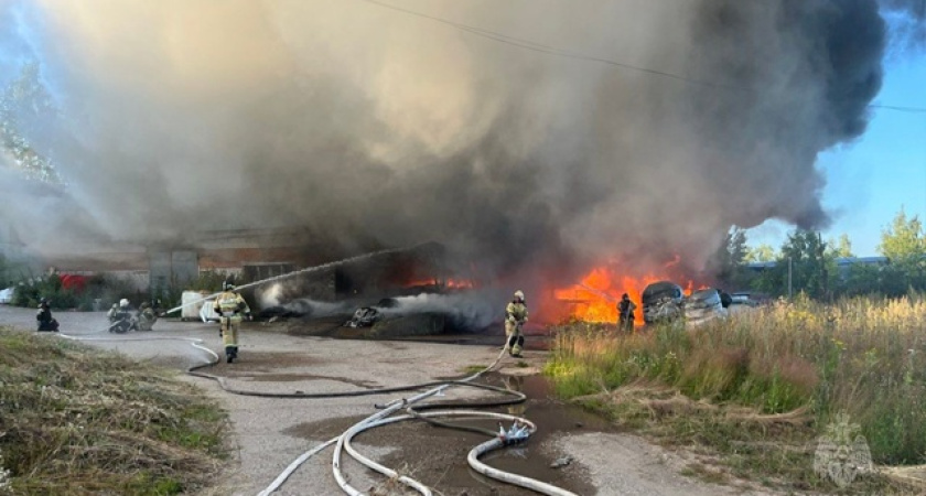 Губернатор Костромской области дал поручение службе охраны лесов усилить патрулирование
