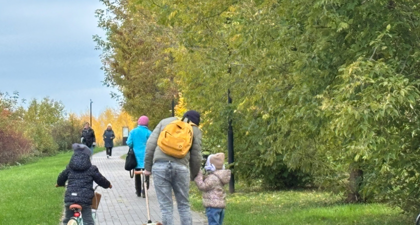 Производственная база БПЛА, подорожание проезда и подключение к теплу: подборка самых обсуждаемых новостей Костромы за неделю с 6 по 10 октября