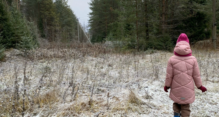 В Костромской области ожидается первый снег