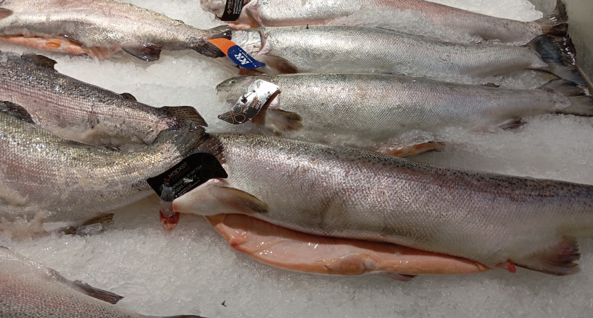 Купила дешевую рыбу в "Светофоре" - мой отзыв