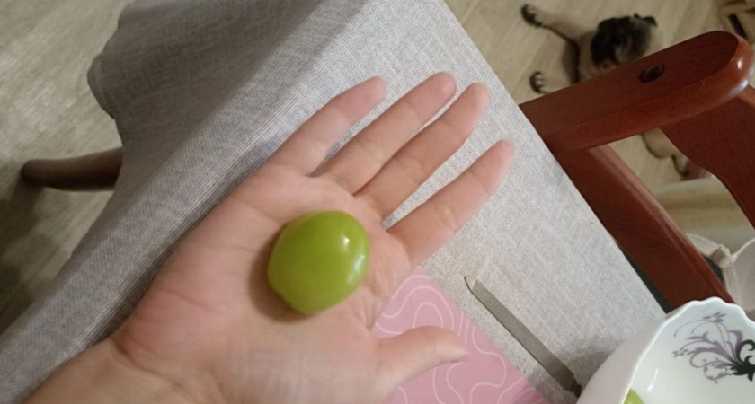 Новый тренд в "Пятерочке" и "Магните": на полках появился огромный "пластиковый" виноград - что это такое и можно ли его есть